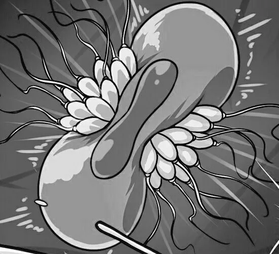 LF Mono Source: ovum, sperm cell, close-up, impregnation, fertilization, sfx, speech bubble (?), crop