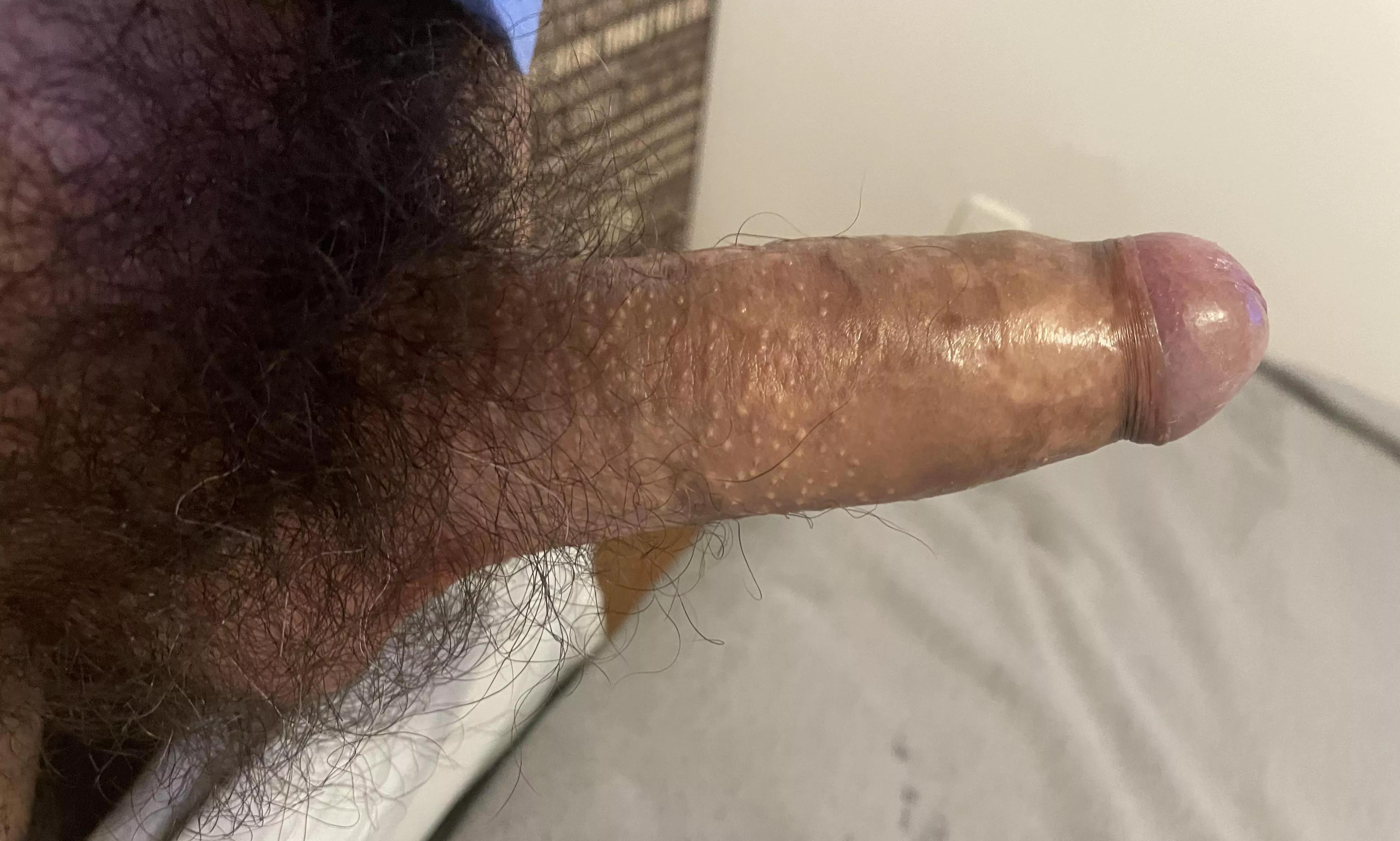 Pubes & hard uncut cock