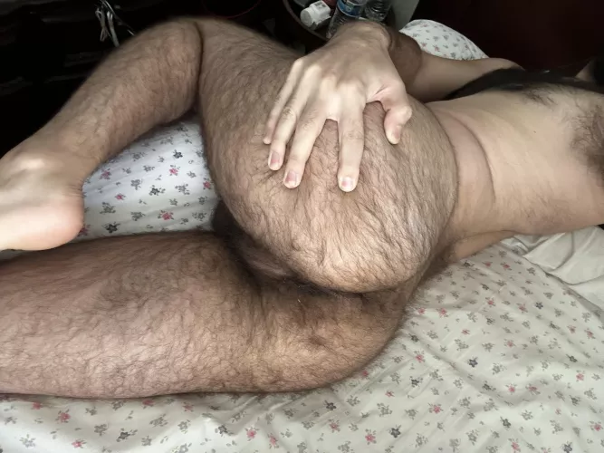 straight 25m who here wants to show a straight hairy dude what happens when gives free reign of what happens to his body to horny internet strangers