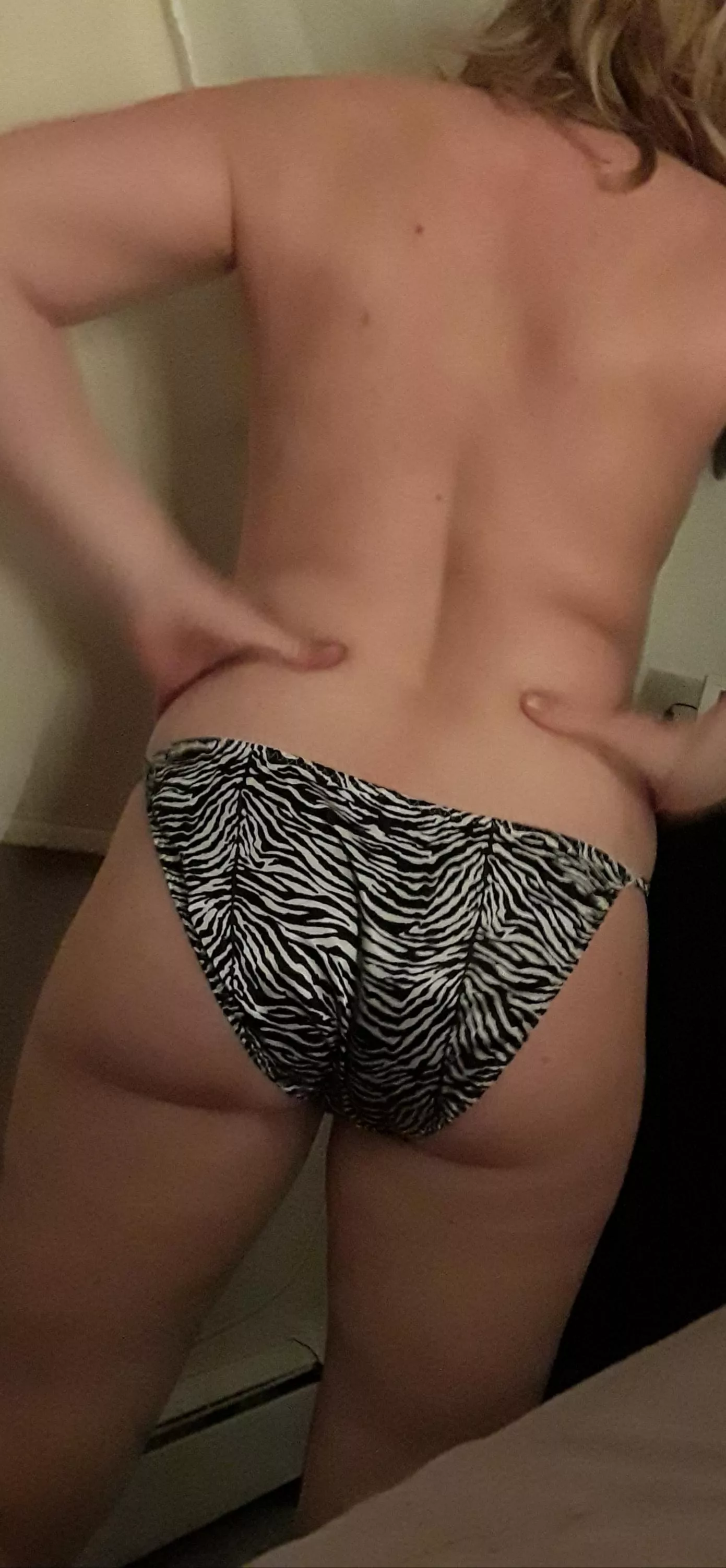 🦓