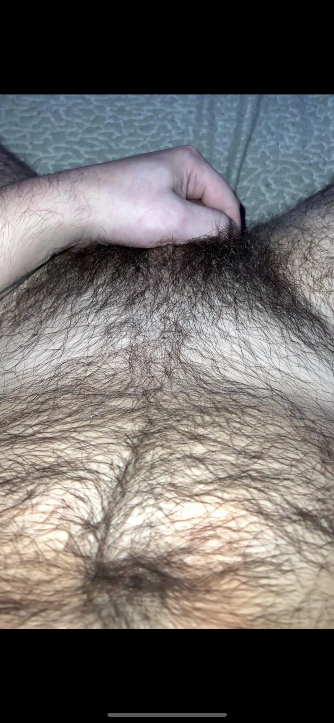 32 m who likes the pubes with the hairy stomach