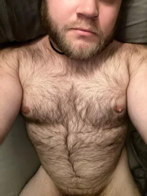 35 Am I beary enough for you?