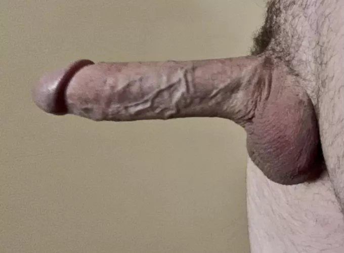 [57] I believe it’s “erection day”. Be sure to vote for my erection.