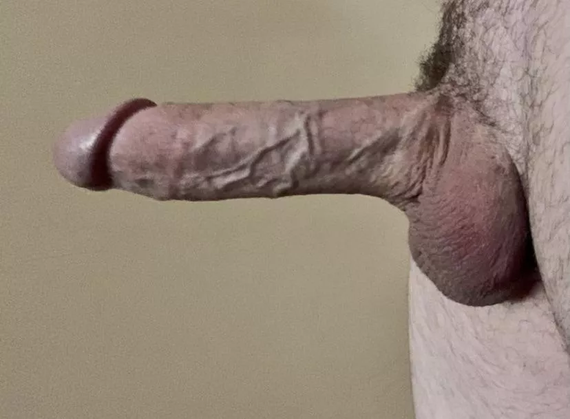 [57] I believe it’s “erection day”. Be sure to vote for my erection.