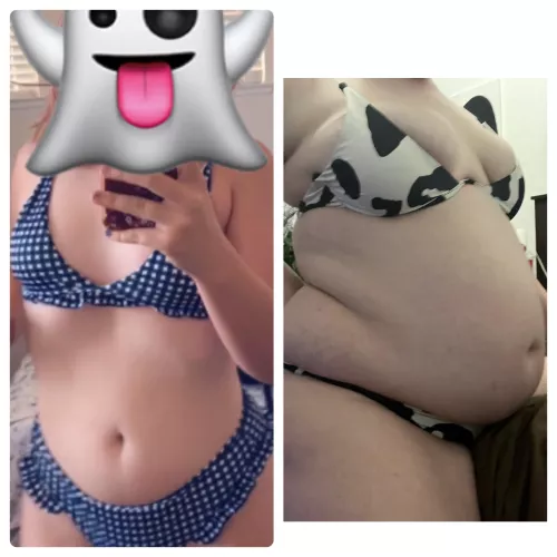 all in just under 6 months 🐮