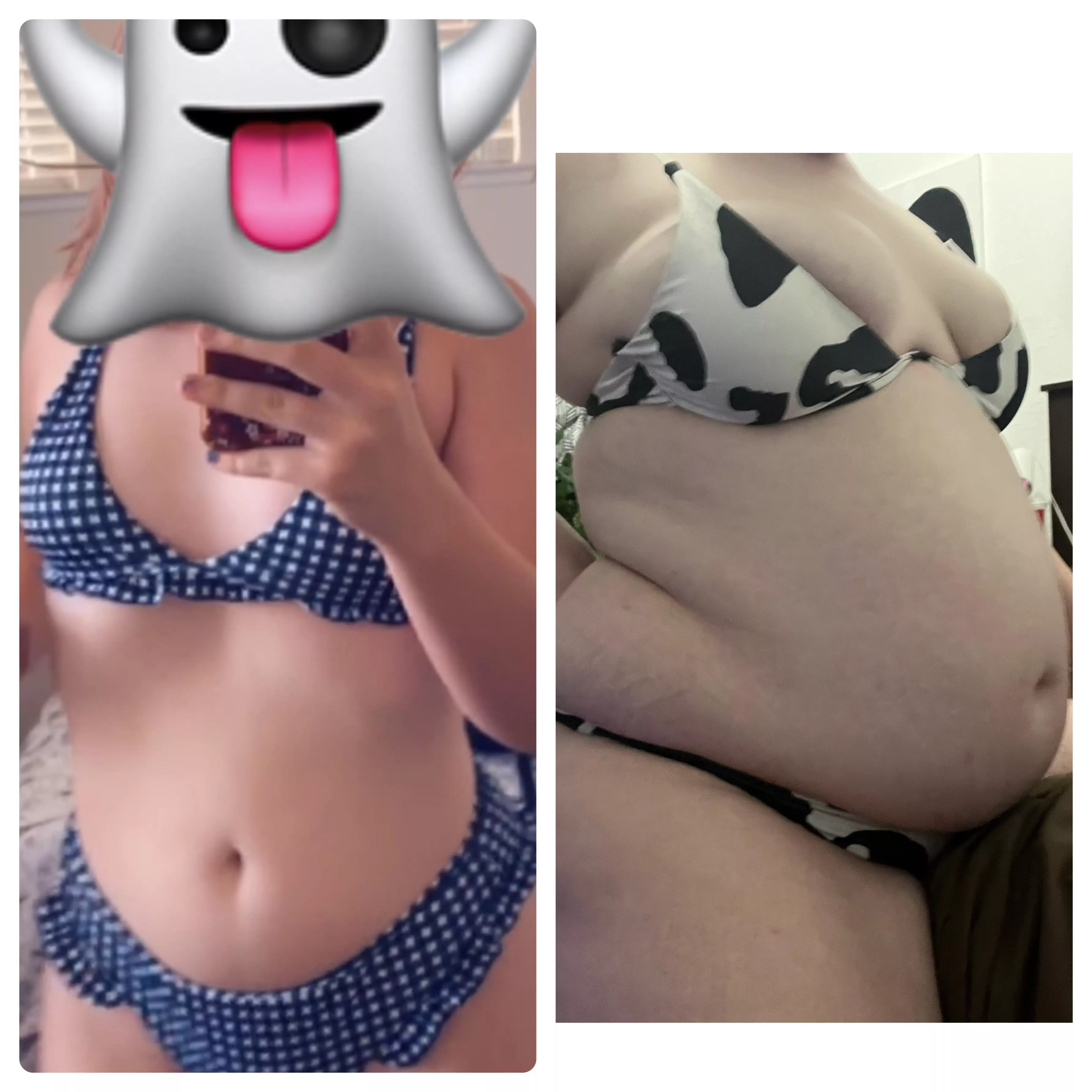 all in just under 6 months 🐮