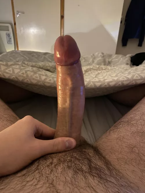 Be honest, would you suck my cock?