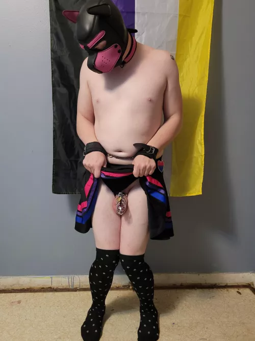 caged up like a good pup