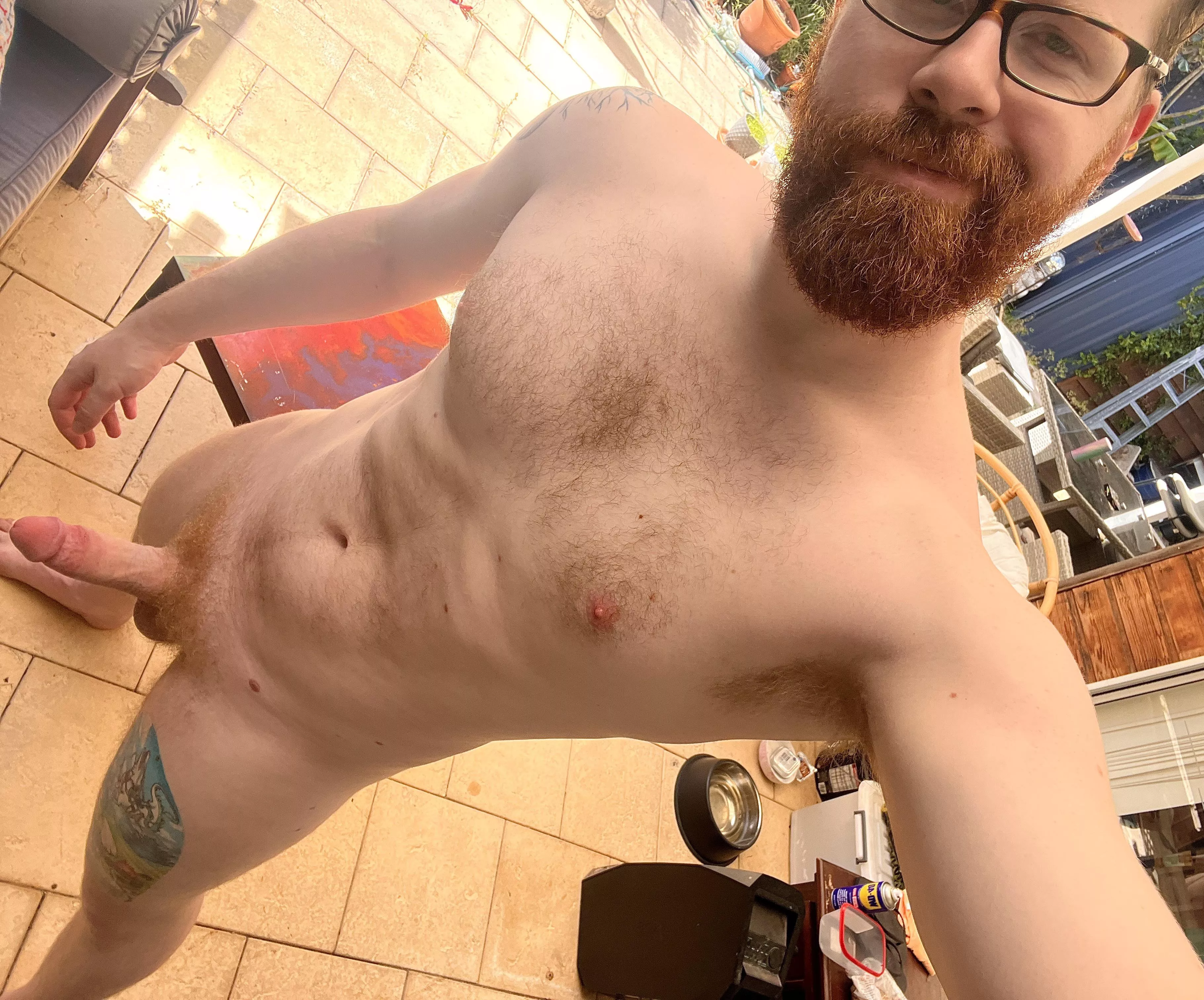 Climb me like a tree, and give the neighbours a wave while you’re up there!