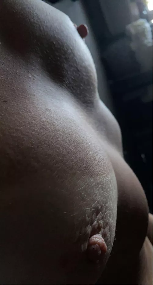 Do you like my breasts?