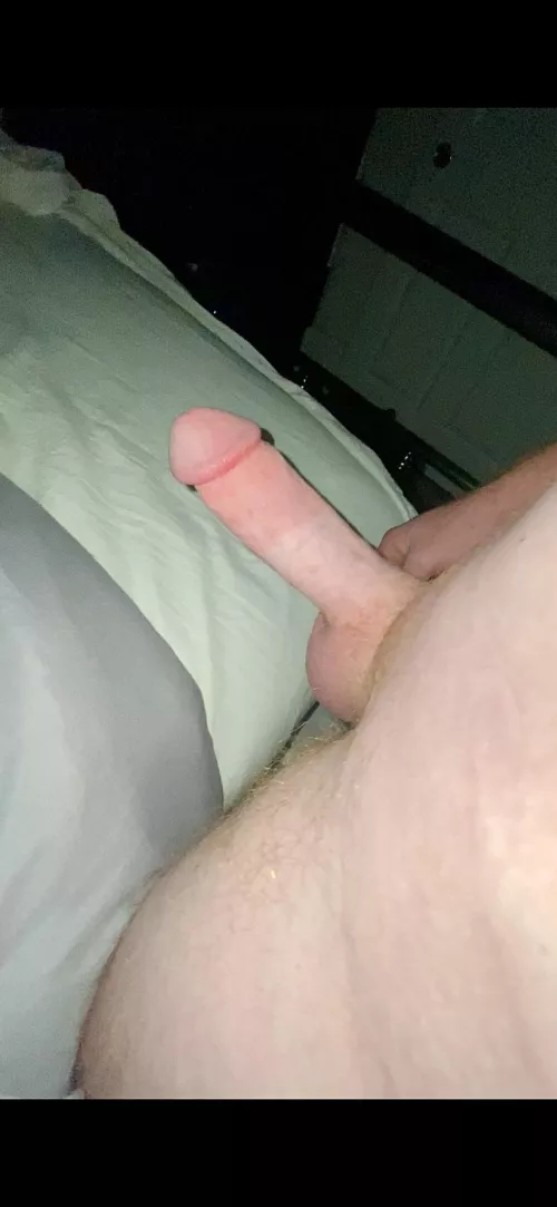 Ginger cock