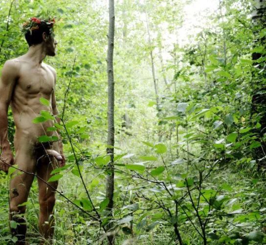 “Hard in the woods” …