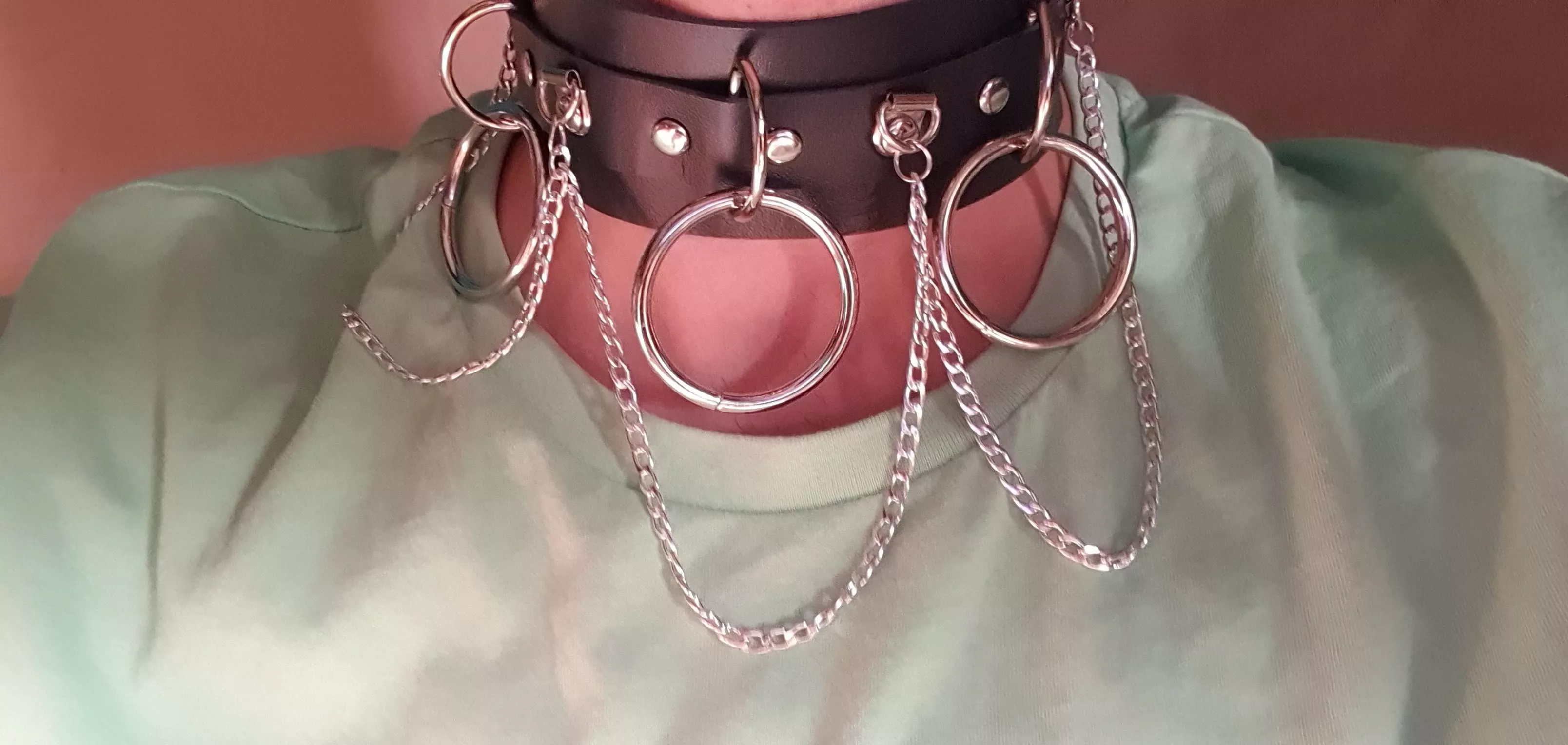 I am waiting for my mistress to put on a leash ...