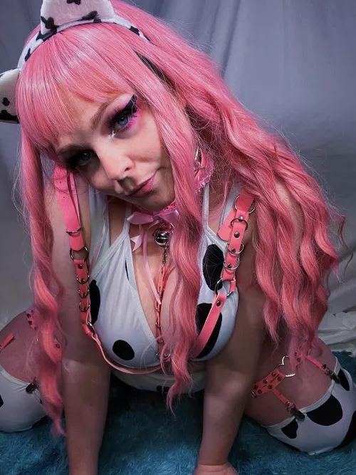 I dream of being milked and breed daily