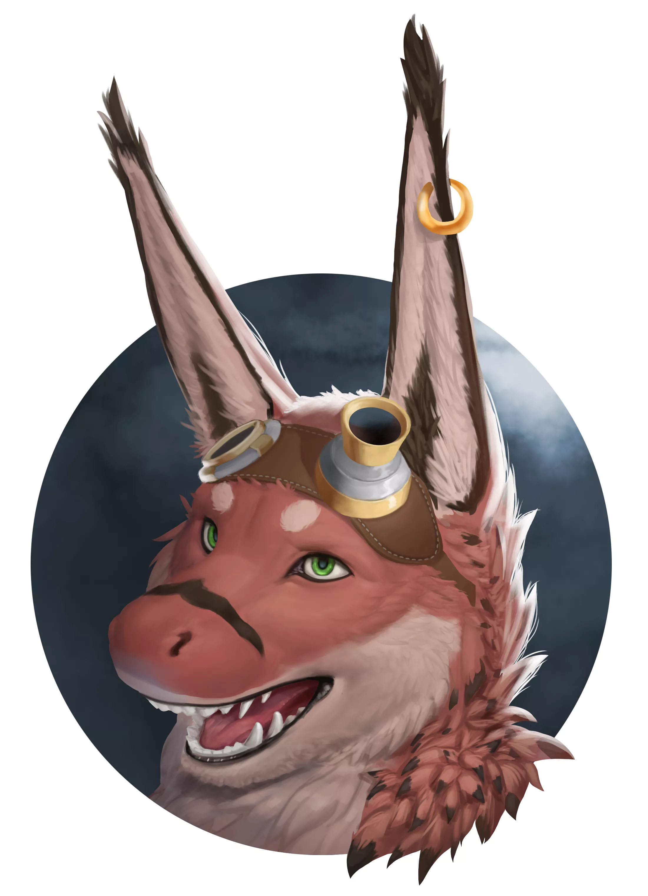 I drew a portrait of my character!