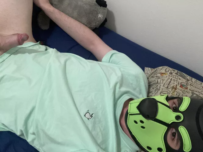 I just wish there were more pups in UT to play with 🥺🐶