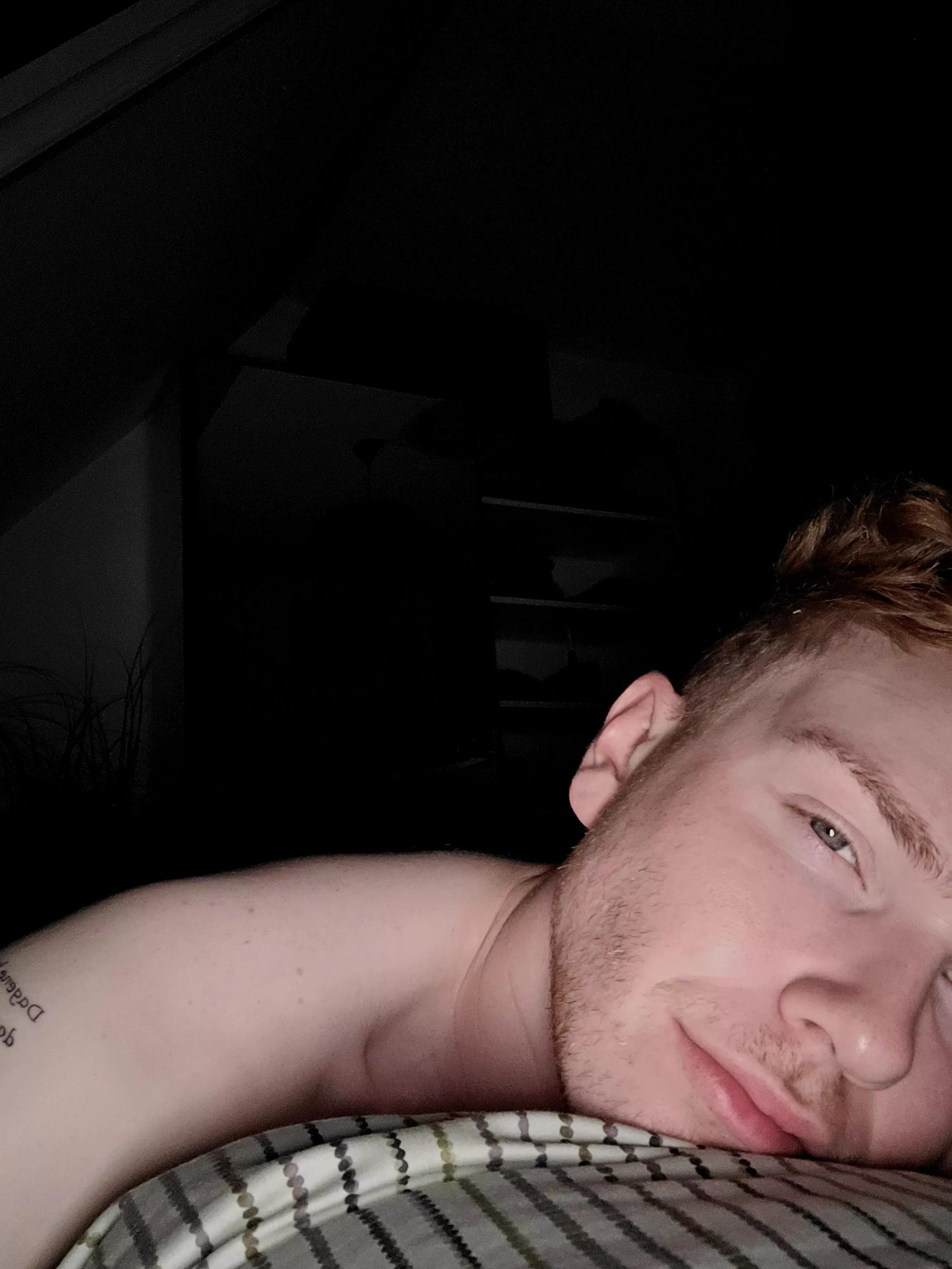 I want a cuddle buddy so bad!