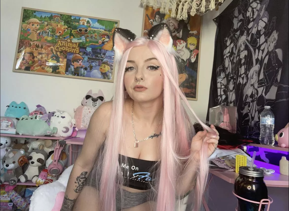 I’ll be a good kitten if you rub my belly. 🥰