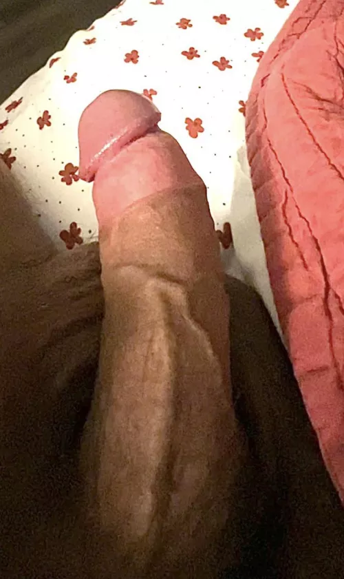 I’ve been told I have a pretty cock, thoughts. Rate & comments please