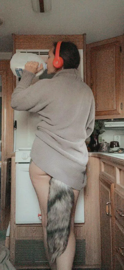 Just a puppy in training