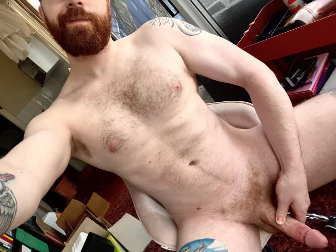 Kindly distract me from my office work?