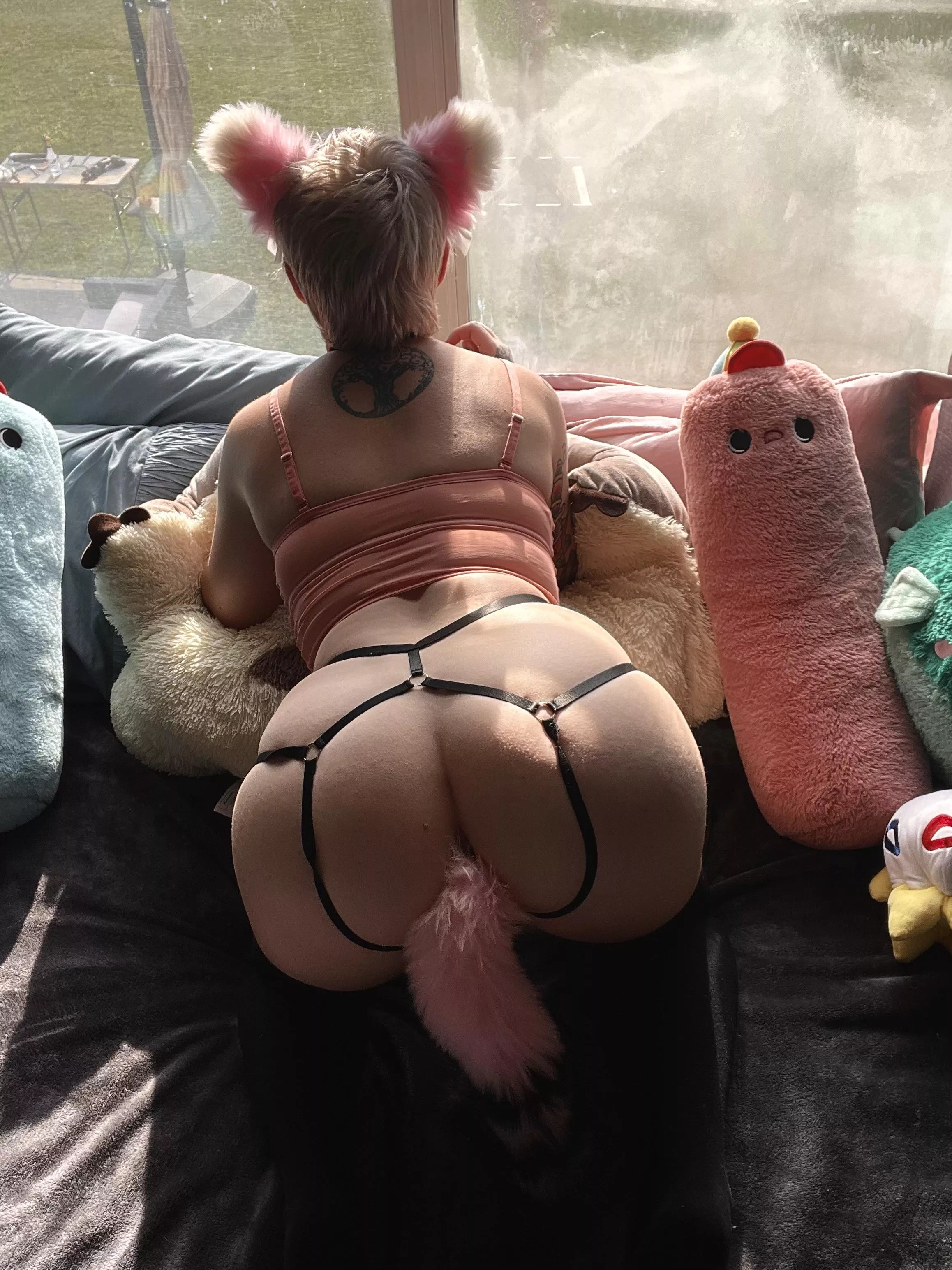 Kitten wants to play