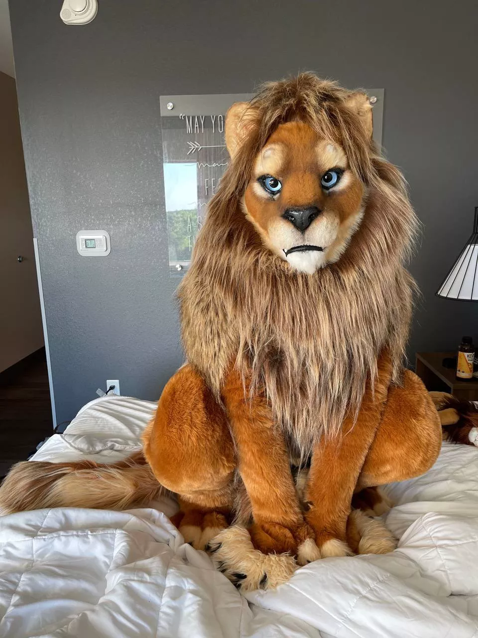 @markramlionhea1 says hello!