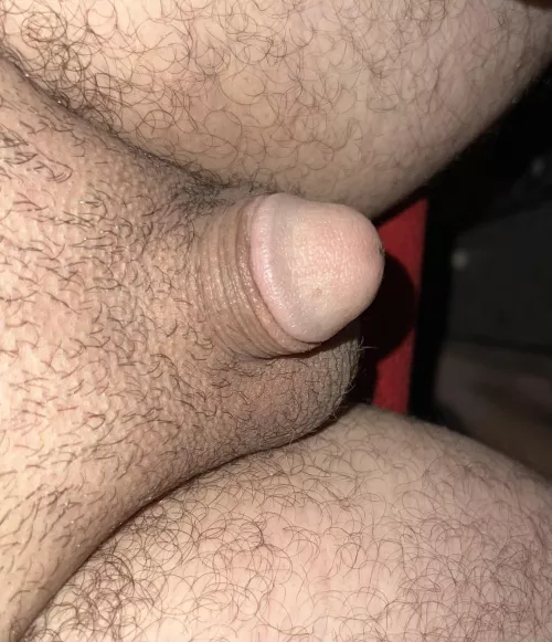 Morning coffee softie