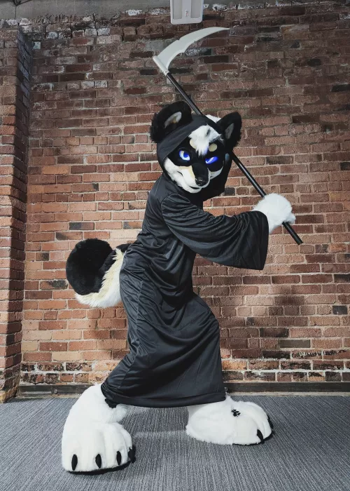 ⚠️😝😝my furry