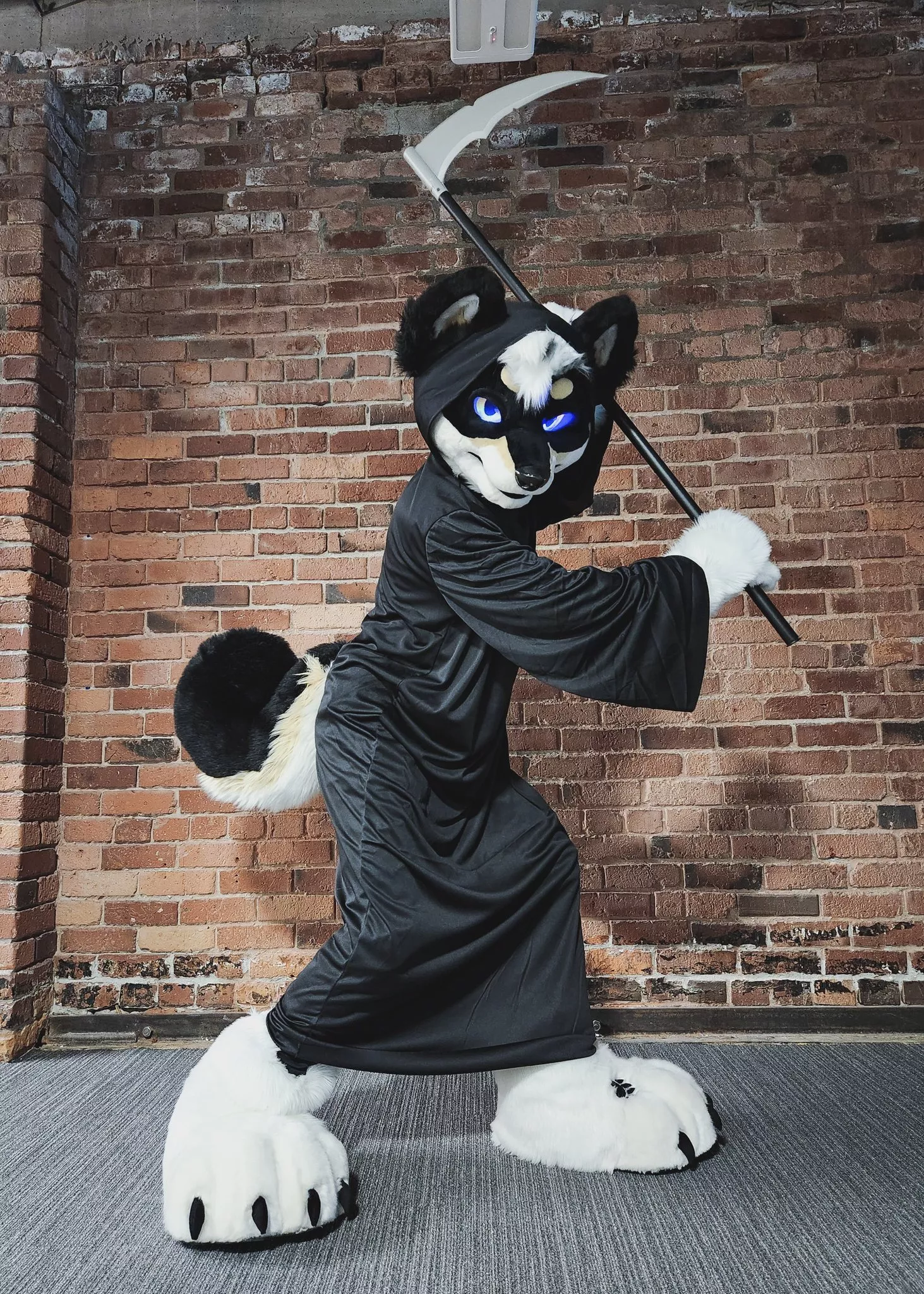 ⚠️😝😝my furry