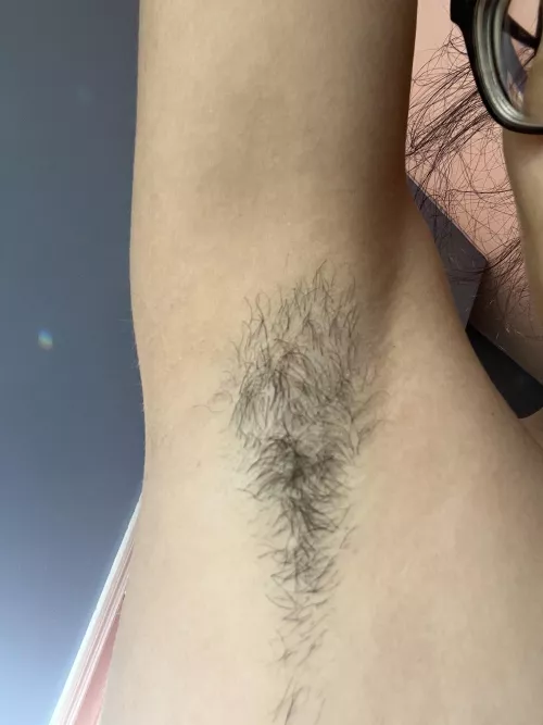 New bundle sent out LINK IN BIO *no dms*