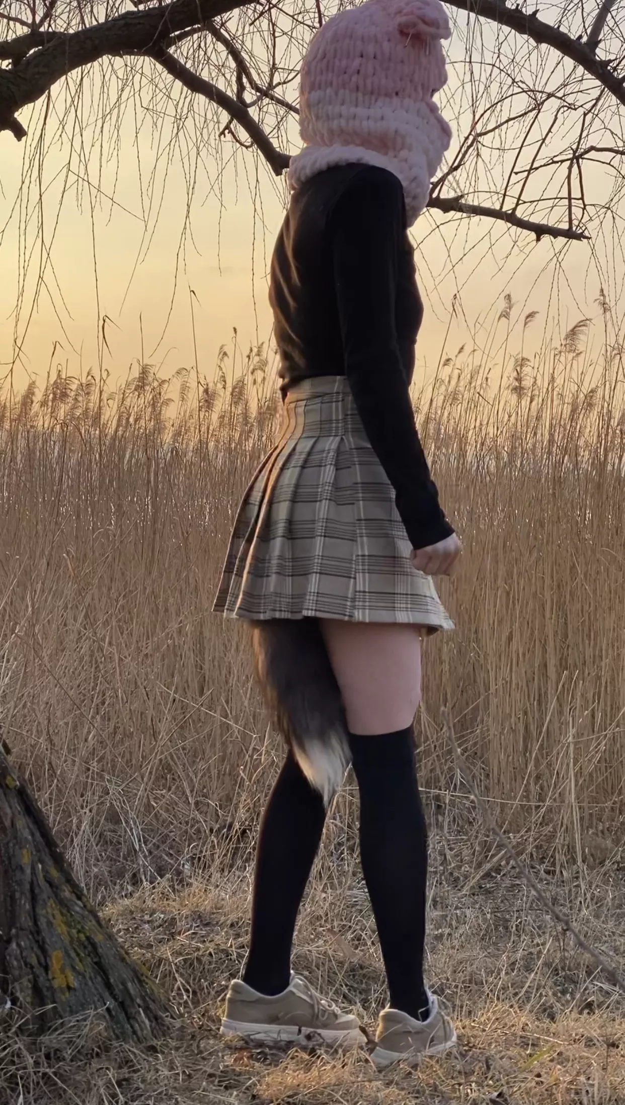 No panties only Tailllll