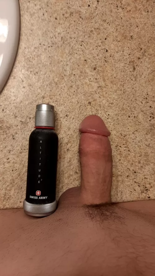 not the biggest cock but how do you like it?
