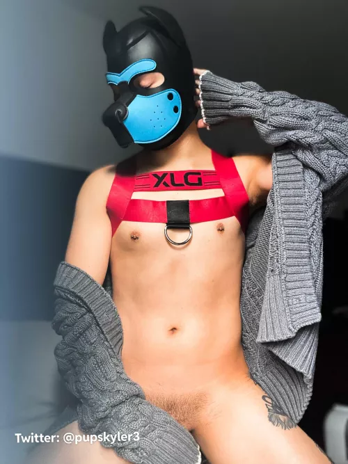 Puppy’s very happy about sweater weather ☺️🐾