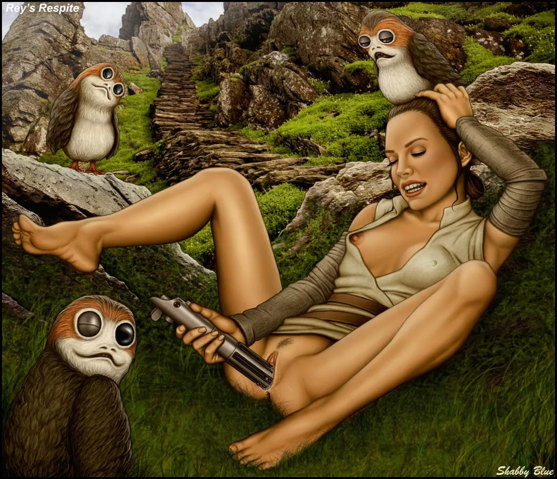 Rey getting a much needed break from training. (Shabby Blue)