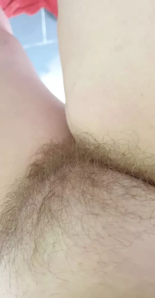 sn@p from swimmingpool