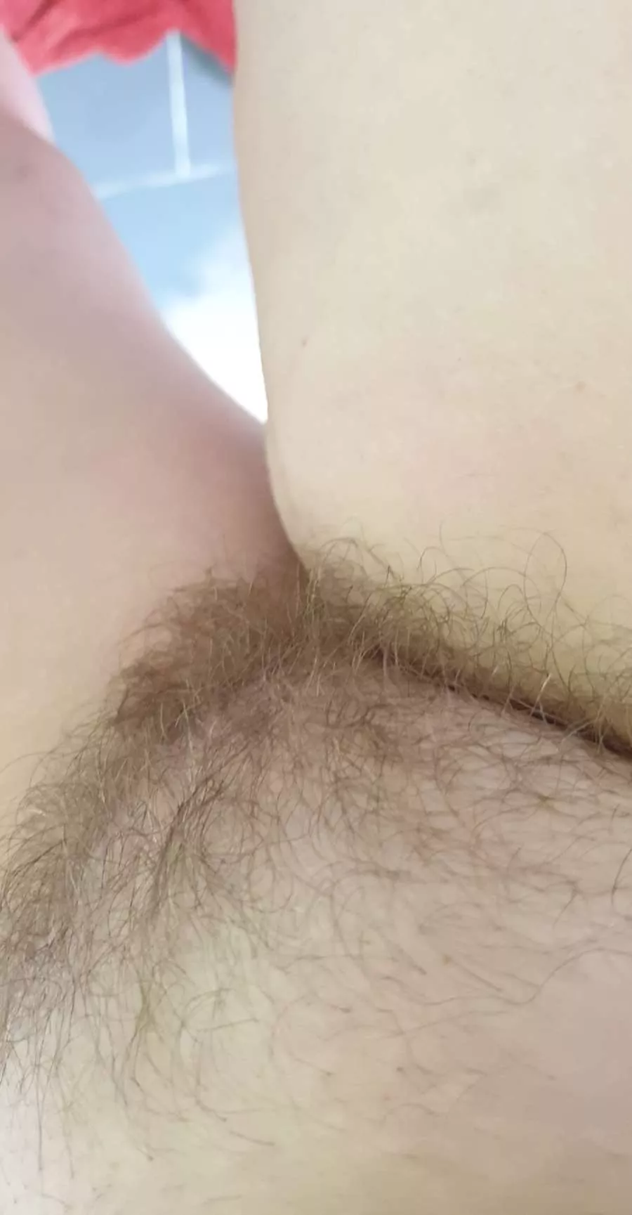 sn@p from swimmingpool