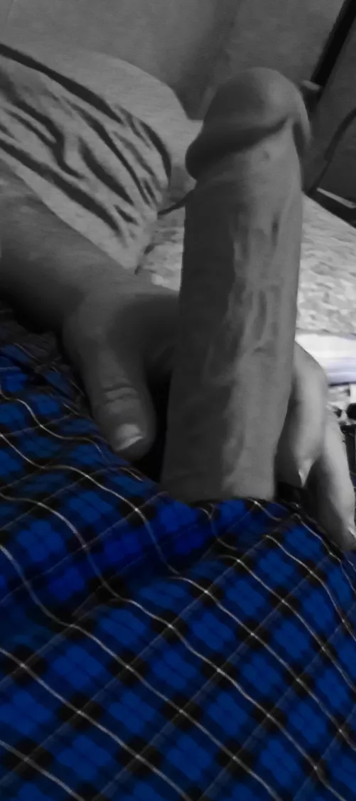 some of my favorite boxers