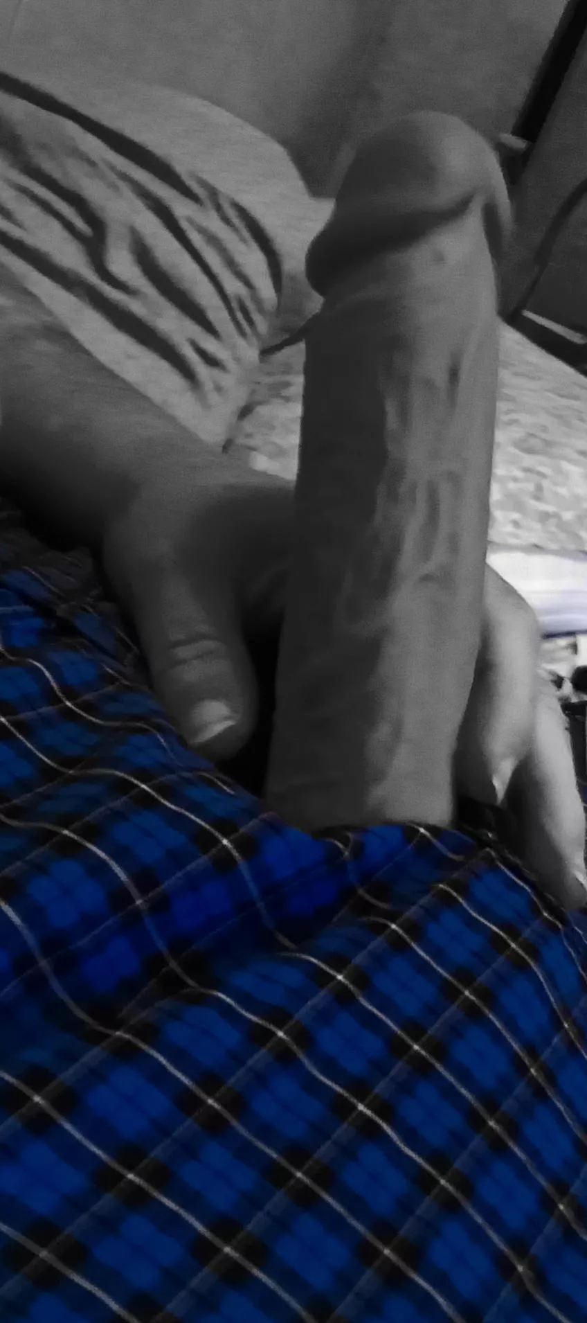 some of my favorite boxers