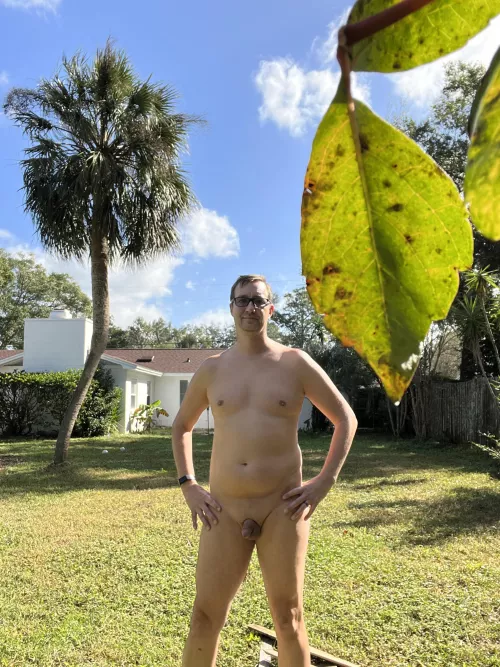 The Florida backyard. :)