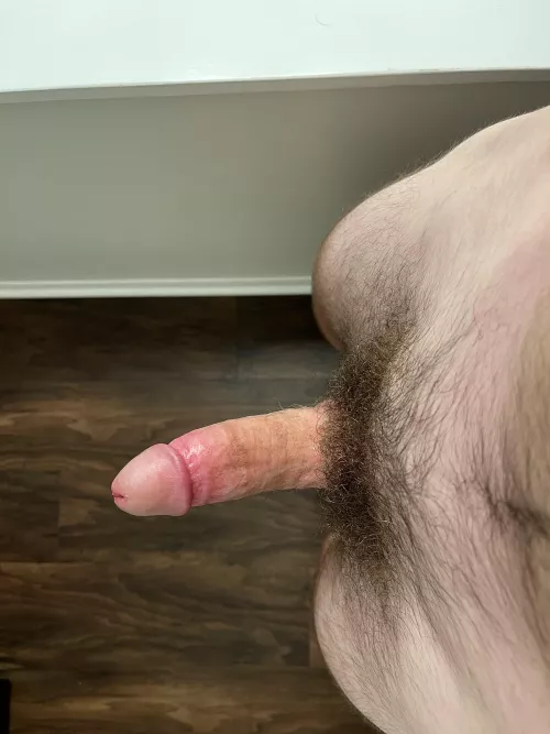 There’s a cock growing in my bush