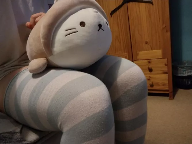 This is Bob, everybody say hi to Bob.