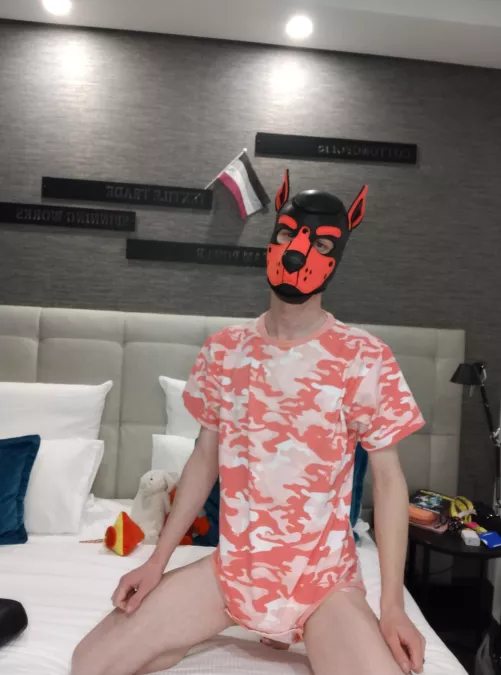 this picture is popular with the twitter , don't know why tho