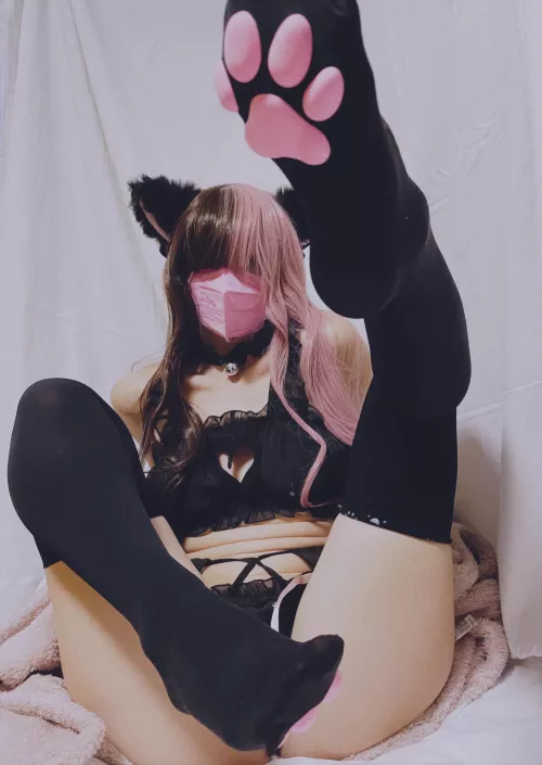 Wanna feel how soft my little paws are?