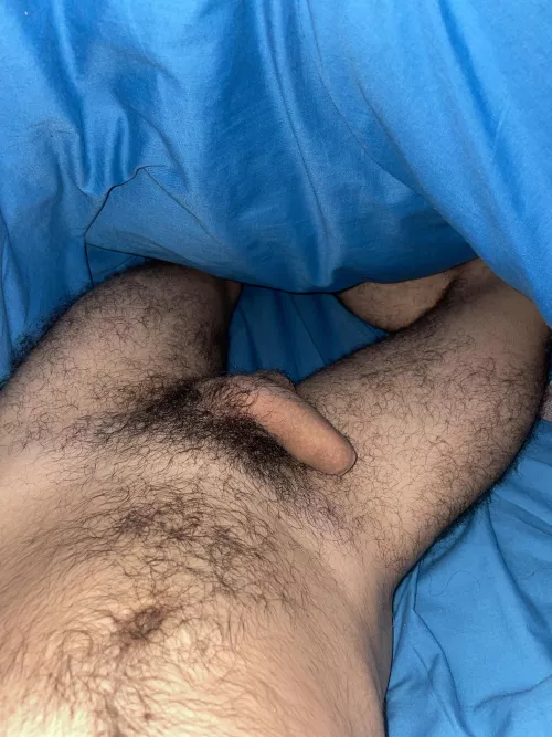 what you’ll find under the covers at night (22)