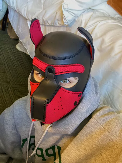 wruff? looks like there’s a pup on your floor <3