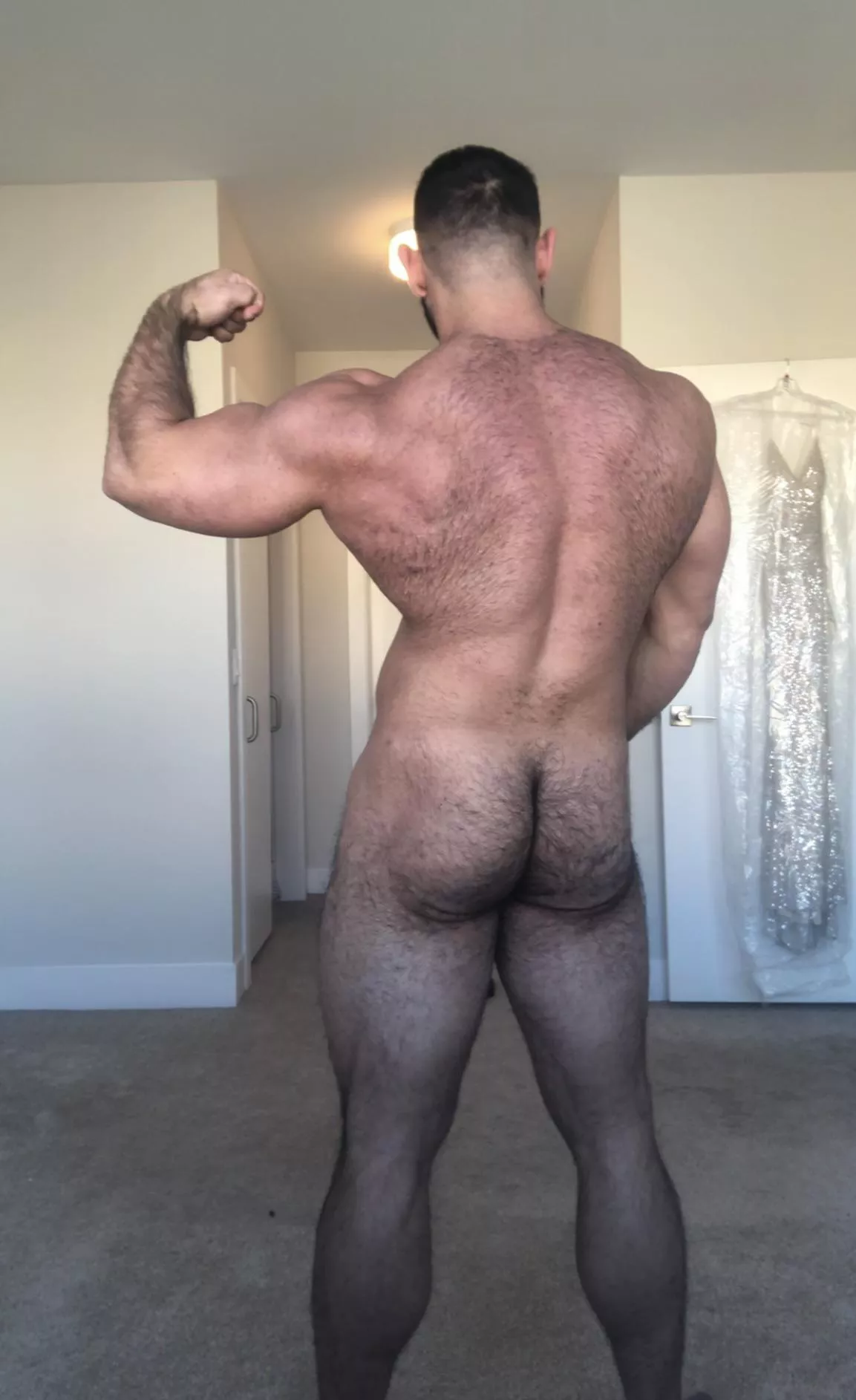 🍑💪🏼🐻