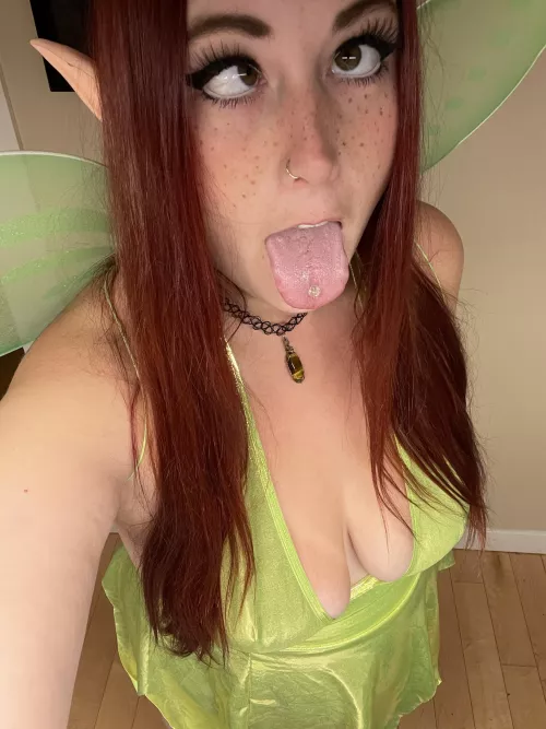 🧚‍♀️🧚‍♀️
