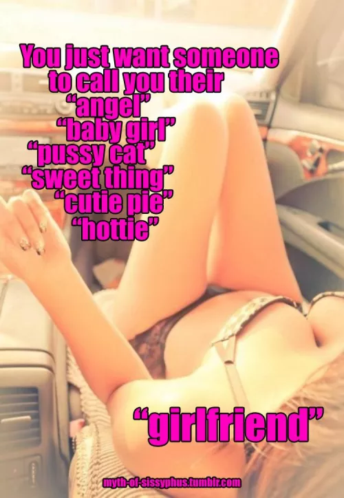 All of them are perfect