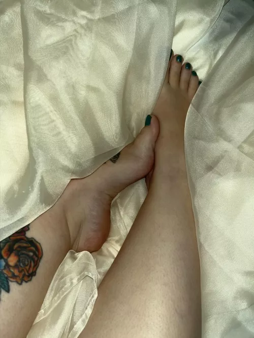 All you’re worth of seeing is my feet. Now, come rub them, simp.